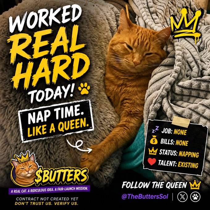 Promotional graphic for '$BUTTERS' featuring an orange cat sleeping on blankets with text reading 'WORKED REAL HARD TODAY! NAP TIME. LIKE A QUEEN' and stats listing 'JOB: NONE, BILLS: NONE, STATUS: NAPPING, TALENT: EXISTING', with 'CONTRACT NOT CREATED YET - DON'T TRUST US. VERIFY US.'