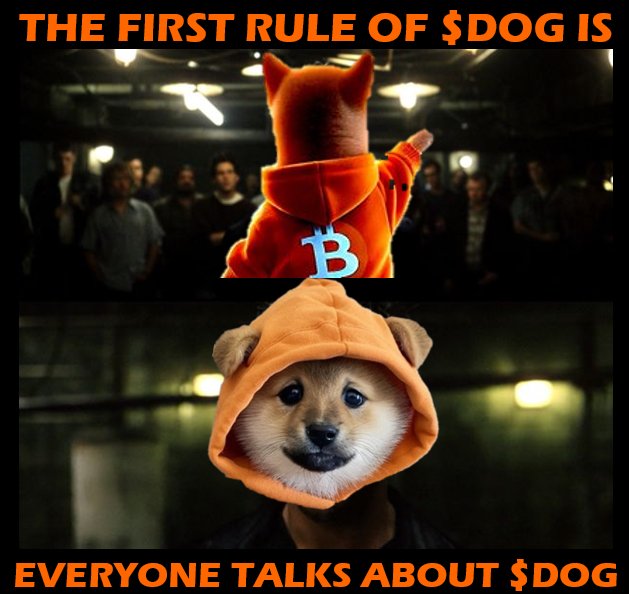 A meme image with text 'THE FIRST RULE OF $DOG IS EVERYONE TALKS ABOUT $DOG' featuring a Shiba Inu dog in an orange hooded jacket and Bitcoin logo.