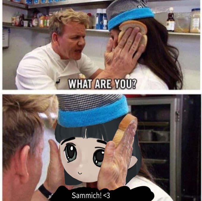 A two-panel meme featuring Gordon Ramsay yelling 'WHAT ARE YOU?' at a chef whose face is replaced by bread; the bottom panel shows an anime-style edit with the text 'Sammich! <3'.