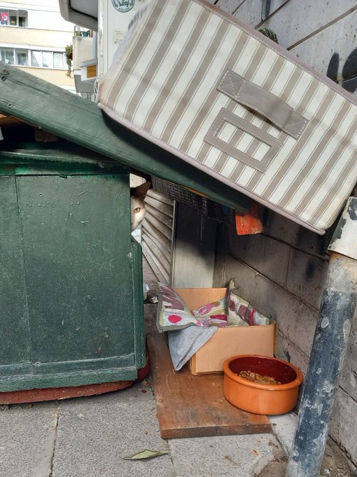 A cat hides inside a makeshift shelter constructed from a green dumpster, a striped mattress, a cardboard box with bedding, and an orange food bowl on a sidewalk.