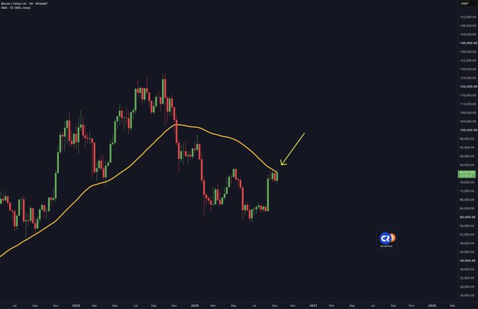 A weekly Bitcoin/USD chart on TradingView displays price action from approximately 2024 through early 2026, with the current price at $94,358.79 (BTC/USD marked in red). An orange 365-day moving average line curves across the chart, and a yellow arrow points to the recent price candle, which is touching the MA line near $93,000-$94,000. The annotation in the top-left reads "#Bitcoin | Turtle CFs" and "EMA, MA, SMA, Ribbon," illustrating the post's claim that Bitcoin is on the verge of reclaiming its 365-day moving average after a downtrend that saw prices fall from peaks above $132,000.