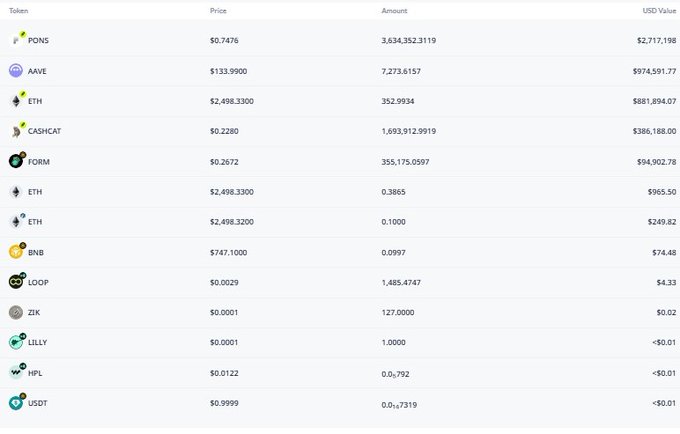 A cryptocurrency portfolio table showing holdings including PONS ($2,717,198), AAVE ($974,591.77), ETH (multiple entries), CASHCAT ($386,188.00), FORM ($94,902.78), BNB ($74.48), LOOP ($4.33), and small amounts of ZIK, LILLY, HPL, and USDT.
