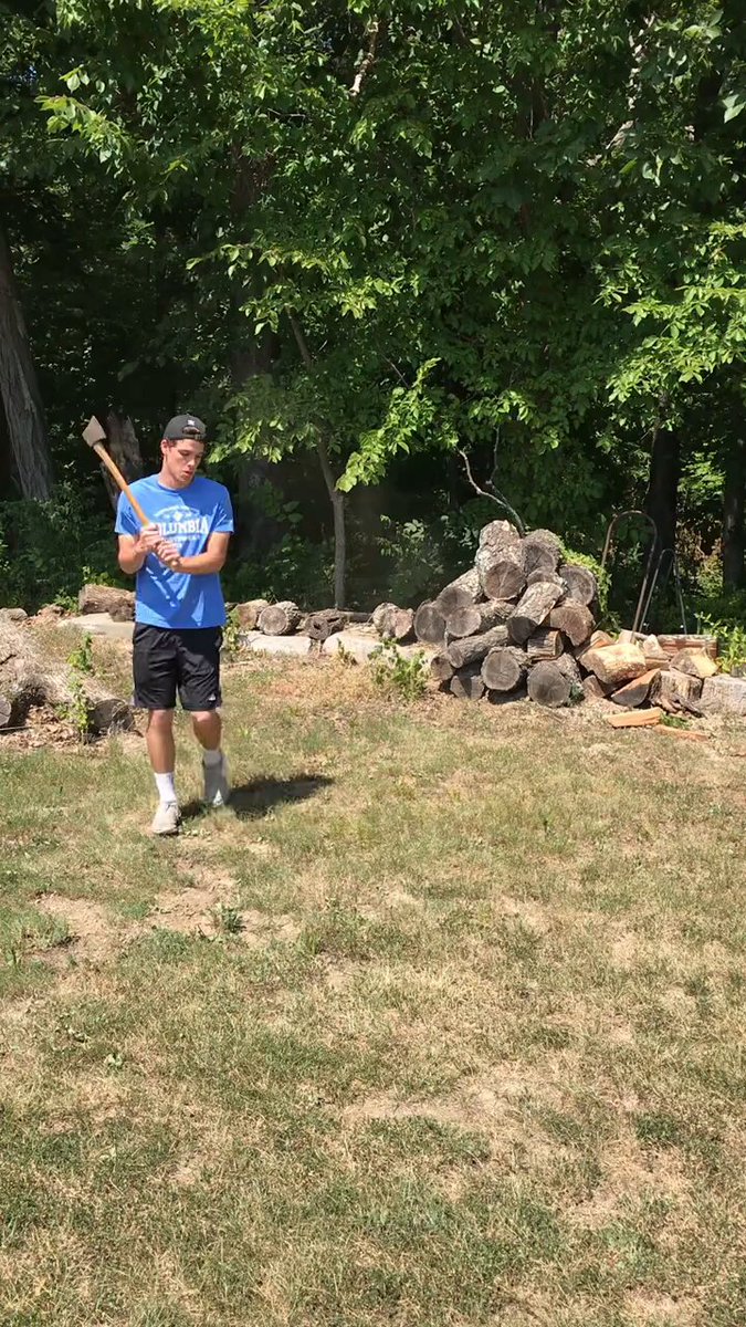 The image features a man holding a baseball bat, standing in front of some logs or tree stumps. The background includes trees and grass, creating an outdoor setting for the scene. There are also other people present in the image, but they are not the main focus. The presence of these additional individuals suggests that this might be a social gathering or event related to baseball or sports.