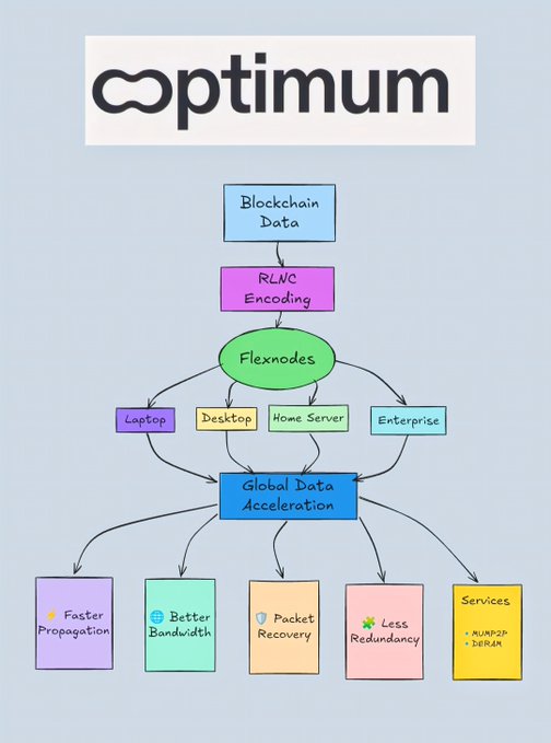 A hand-drawn flowchart illustrates the 'Optimum' system, showing blockchain data flowing through RLNC encoding to flexnodes (Laptop, Desktop, Home Server, Enterprise) for global data acceleration, resulting in faster propagation, better bandwidth, packet recovery, less redundancy, and services like AUMP2P and DERAN.