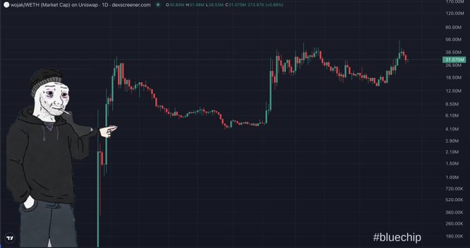 The image features a chart with two lines that represent stock prices, one for the blue chip and another for day 13. A man wearing all black points at the chart and looks sad. The caption states "Day 13 of posting @wojakcto chart until 69b marketcap #bluechip". This suggests the man is discussing or reacting to a specific event related to the stock market, possibly an important date in the chart's history that affected blue chip stocks significantly.