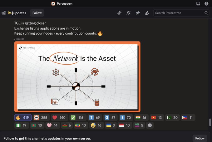 A Discord update from the Perceptron channel about TGE getting closer, with a graphic titled 'The Network is the Asset' and various reaction emojis from community members.