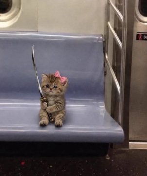 An adorable tabby kitten adorned with a pink bow and wielding a tiny sword sits confidently on a subway seat, channeling a fierce warrior persona that inspired the character's playful, dangerous charm.