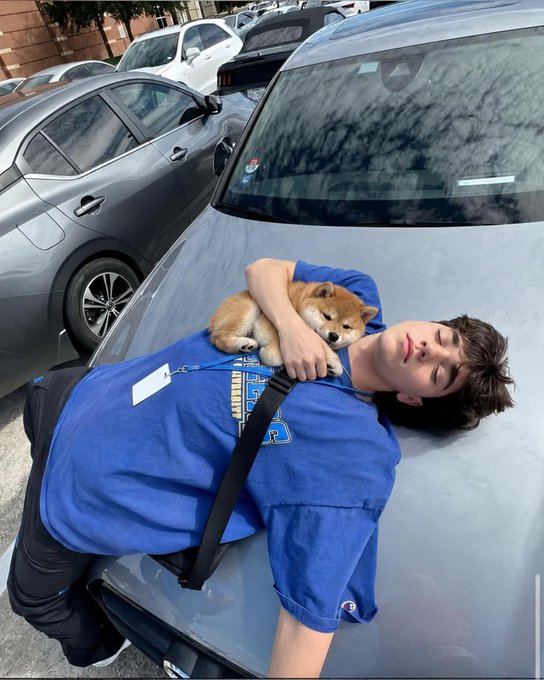 A young man in a blue t-shirt lies on the hood of a gray car while holding a sleeping Shiba Inu puppy. Several other cars are parked in the background in what appears to be a parking lot.