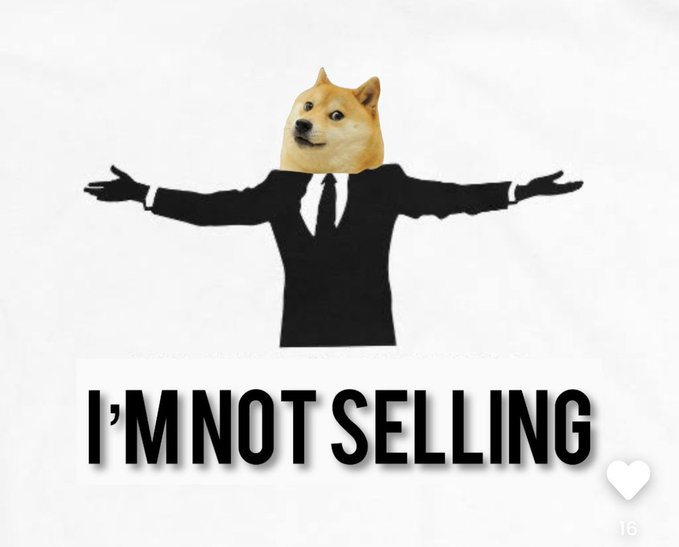 The image features a dog wearing a suit, with its arms outstretched as if dancing or celebrating. The text "I'm not selling" is written above the dog's head, indicating that the Dogecoin being sold by this image is not for sale. The caption below the image reads "Focus on what is in the image and how it relates to the post."