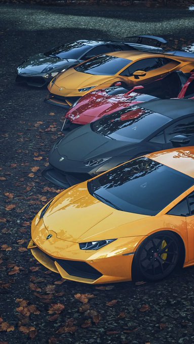 A lineup of luxury sports cars, including yellow and red Lamborghini Huracáns, are parked diagonally on a leaf-covered ground.