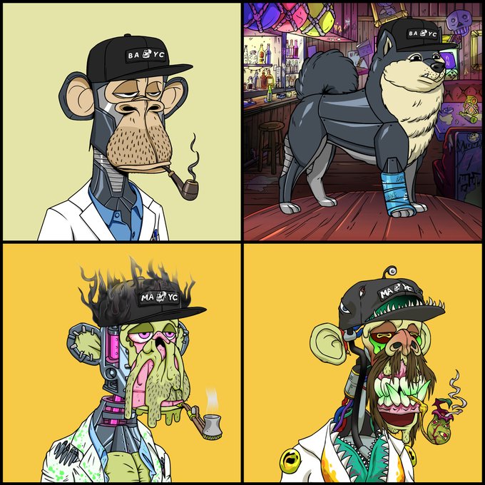 A 2x2 grid of cartoon characters wearing 'BAYC' (Bored Ape Yacht Club) hats, featuring a monkey smoking a pipe, a Husky dog with a bandaged leg, and two grotesque zombie-like apes in lab coats smoking pipes.