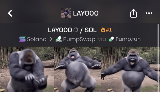 A screenshot from DexScreener shows the LAY000/SOL trading pair ranked #1 on the trending list, displayed via PumpSwap on Solana. Below the trading info, three humorous images of a gorilla are shown, tying into the post's excitement about the LAY000 token hitting the top trending spot.