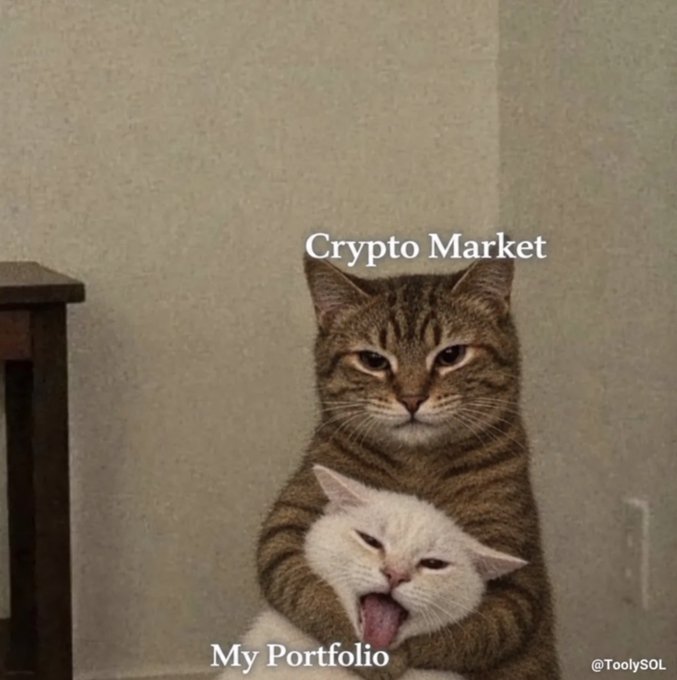 A tabby cat holds a yawning white cat; meme text reads “Crypto Market” above and “My Portfolio” below, with “@ToolsySOL” in the corner.