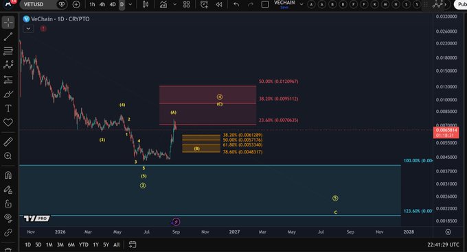 A TradingView chart of VETUSD (VeChain) on a daily timeframe displays Elliott Wave analysis with labeled waves (1-5, A, C) and Fibonacci retracement levels, with the price currently at 0.006561 testing the 23.60% retracement zone near $0.007063, while another potential wave 5 target sits at the 123.60% extension around $0.002200.