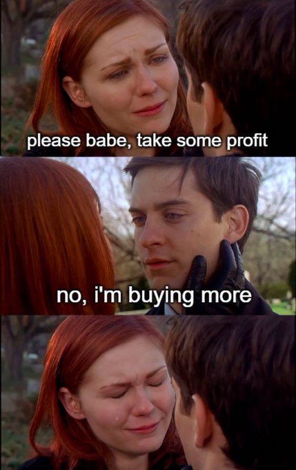 A three-panel meme featuring scenes from Spider-Man 3 where Mary Jane cries; the text reads 'please babe, take some profit', 'no, i'm buying more', and shows MJ crying.