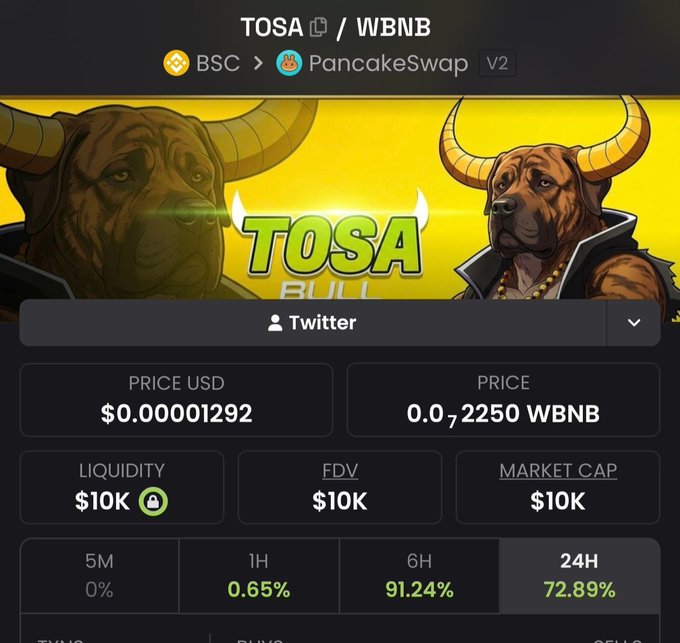 A cryptocurrency token page for 'TOSA / WBNB' on PancakeSwap V2, showing a 'TOSA BULL' banner with horned dog artwork and a price of $0.00001292.