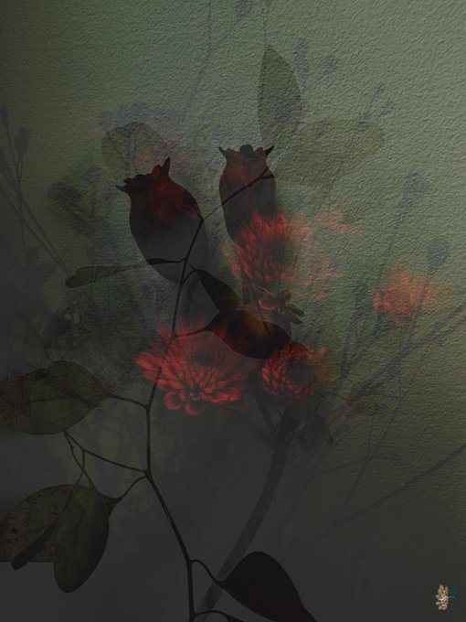 A moody, shadowed composition featuring delicate plant silhouettes and glowing red blossoms against a dark green textured wall, evoking the imagery of "Heart Fire" with its flames captured within fragile floral forms. This appears to be one of five editions from a Tezos ($XTZ) NFT collection, priced at 10 XTZ, visually embodying the poetic theme of love's lingering burn.