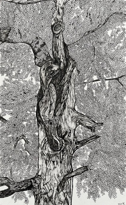 A detailed black and white pen-and-ink illustration of a gnarled tree trunk with sparse foliage, created using dense stippling techniques and signed 'VOEK' in the corner.