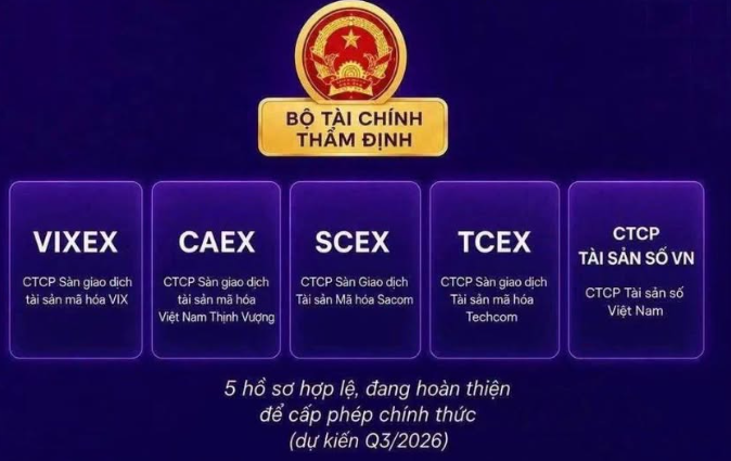 A purple Vietnamese government graphic from the Ministry of Finance ('BỘ TÀI CHÍNH THẨM ĐỊNH') showing five boxes labeled VIXEX, CAEX, SCEX, TCEX, and CTCP TÀI SẢN SỐ VN, with text indicating 5 dossiers are being completed for official licensing expected Q3/2026.
