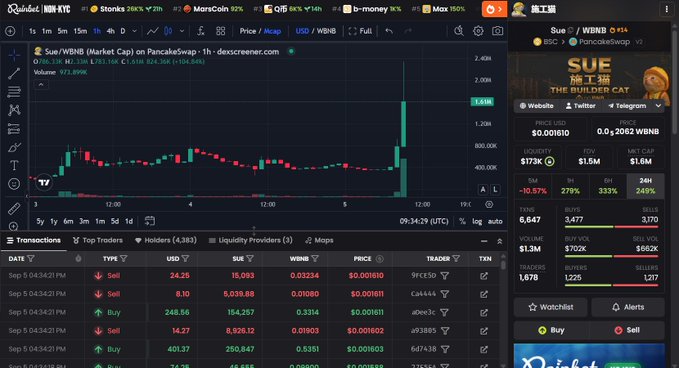 A cryptocurrency trading chart for 'SUE/WBNB (Market Cap) on PancakeSwap' via dexscreener.com, displaying price candlesticks, transaction data, and token metrics for 'SUE 狮王狮 THE BUILDER CAT'.