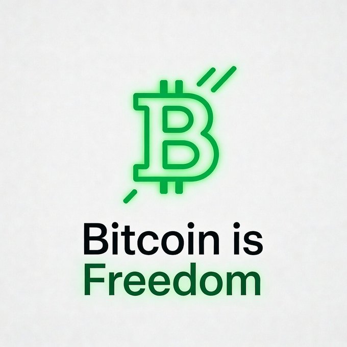 The image features a green neon logo with the word "BITTECOIN" written below it, which reads "BITCOIN IS FREEDOM". The background of the image is white, making the neon logo stand out prominently. The text "HOLD ON TO FREEDOM" is also present in the image, reinforcing the message that freedom and the use of Bitcoin are interconnected.