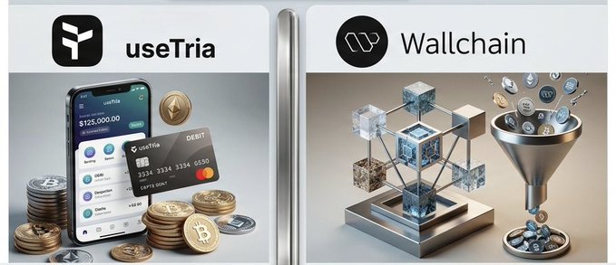 The image features two different logos, one for "useTria" and another for "Wallchain", both of which are related to cryptocurrency projects. The use of these logos suggests that they might be competing against each other or presenting their services as complementary options in a market where various cryptocurrencies exist.

There is also an illustration of a coin drop happening, with coins falling from the sky. This could represent the growth and expansion of the cryptocurrency world, which is often seen in Web3 projects. The presence of these elements in the image highlights the dynamic nature of the crypto space and how it constantly evolves to meet the needs and demands of its users.