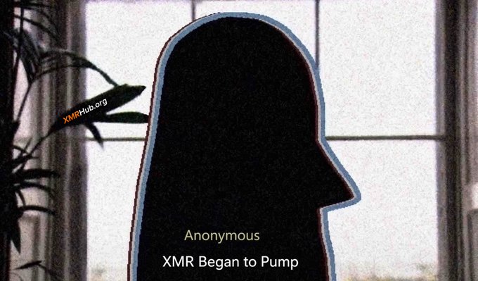 A silhouette of a person's profile against a window, with text reading 'Anonymous XMR Began to Pump' and a watermark 'XMRHub.org' on a plant leaf.