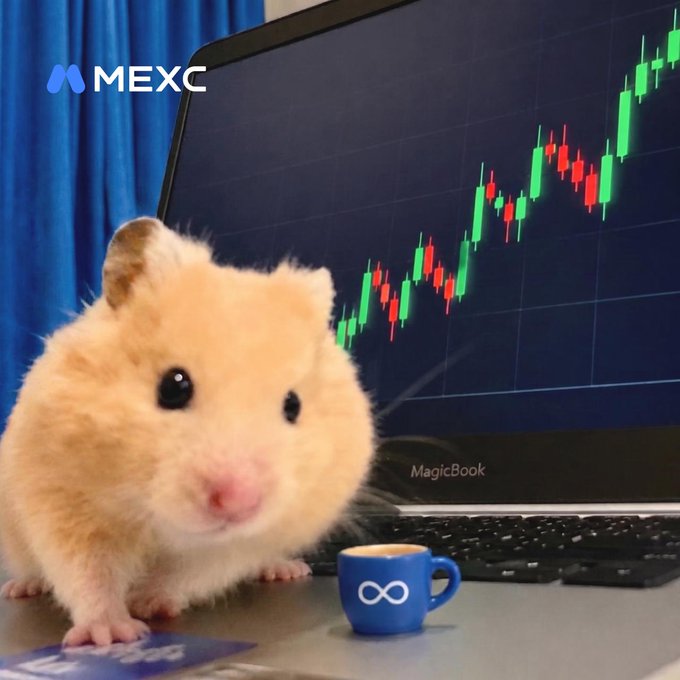 A fluffy hamster sits in front of a laptop displaying an upward-trending green and red candlestick chart, with the MEXC logo visible and a small blue mug featuring an infinity symbol beside it—visually capturing the optimistic "GM" (good morning) vibe of a bullish market day.