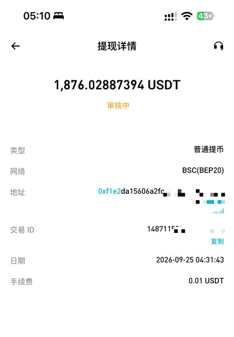 A Chinese-language mobile withdrawal details screen showing a pending ('审核中') transaction of '1,876.02887394 USDT' on the BSC (BEP20) network, with a transaction ID and fee of 0.01 USDT.