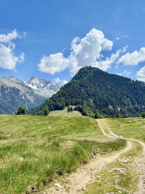The image shows a picturesque mountain landscape with a dirt path winding through lush green grass, leading towards a majestic mountain peak covered in trees. The sky above is clear blue with fluffy white clouds. In the foreground of the photo, there's a caption that reads "This is the $HYPE road toward 250$ & its a BEAUTIFUL ROAD Hyperliquid". This caption suggests that the image might be related to a travel or tourism post promoting this scenic route for sightseeing purposes.

The image captures the beauty and tranquility of nature, with the winding dirt path inviting viewers to imagine themselves walking along it towards the stunning mountain top. The clear blue sky overhead adds to the overall sense of peace and serenity that the scene conveys.