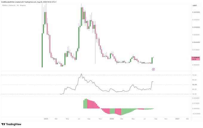 The image shows a TradingView weekly candlestick chart for $PENGU/USDT on Binance, displaying price action from late 2024 through August 2025 with the current price highlighted at 0.00065 USDT, accompanied by an RSI indicator and a bullish histogram oscillator below—both showing upward momentum that aligns with the poster's confident stance on buying more $PENGU daily regardless of price movement.
