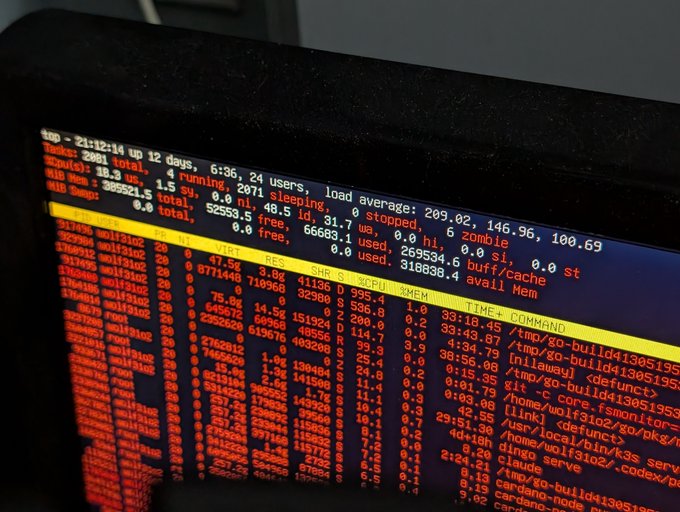 A computer terminal displaying system information with uptime of 21 days, load averages, and a top process list showing high CPU usage on wolf processes.