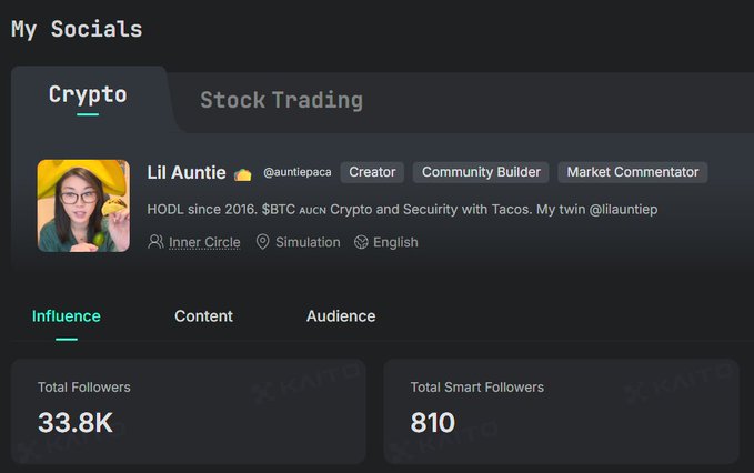 A dark-themed social media profile dashboard showing 'My Socials' for user 'Lil Auntie' (@auntiepaca) tagged as Creator/Community Builder/Market Commentator, with 33.8K total followers and 810 smart followers.