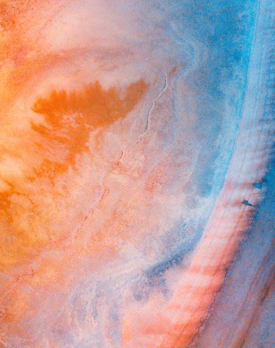 An abstract, textured background featuring swirls of orange, pink, and blue hues with vein-like patterns.