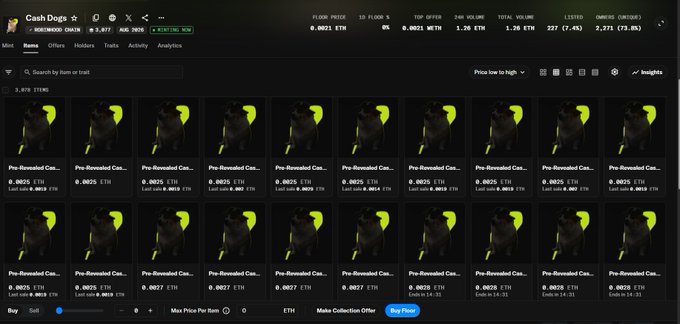 A screenshot of an NFT marketplace showing a collection named 'Cash Dogs' with multiple listed items priced in ETH, featuring yellow dog profile pictures and stats including floor price 0.0021 ETH.