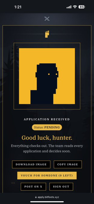 A mobile app screen showing 'APPLICATION RECEIVED' with 'Status: PENDING' and the message 'Good luck, hunter. Everything checks out. The team reads every application and decides soon.' on apply.bitbots.xyz.