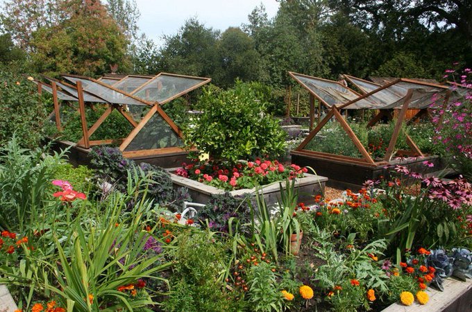 A lush, vibrant garden featuring two wooden cold-frame greenhouses surrounded by raised beds overflowing with colorful flowers in red, pink, orange, yellow, and purple hues, all framed by tall green trees. The cheerful, flourishing scene offers an ironic contrast to the post's nostalgic mention of Ethereum's early $15 price, evoking a sense of past simplicity and humble beginnings now grown into abundance.