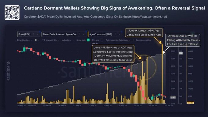 The image features a graph showing the price of an antique Bitcoin called $ADA Wallets, which has seen a significant rise since April. The currency exchange rate for the ADA Age Consumed metric increased by more than 50% compared to the previous month due to the surge in demand and speculation. This indicates that people are investing in these old wallets as their value increases. Additionally, the post suggests that the Santiment website also tracks another cryptocurrency called Santiment, which may be affected by similar trends or factors within the Bitcoin market. The image is accompanied by a caption that connects the rise of $ADA Wallets to the broader bitcoin landscape and its financial dynamics.