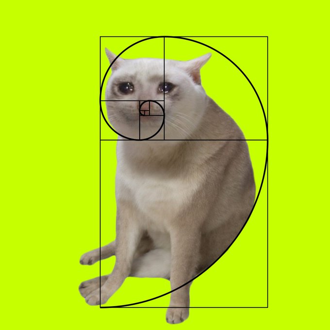 A cream-colored cat with blue eyes sits against a bright lime green background, overlaid with a black golden ratio spiral (Fibonacci sequence) demonstrating the proportional composition of the image.