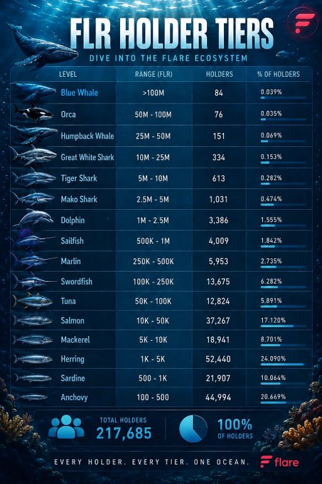 FLR Holder Tiers infographic for the Flare ecosystem showing distribution by ocean-themed categories from Blue Whale (>100M, 84 holders) down to Anchovy (100-500, 44,994 holders), totaling 217,685 holders.