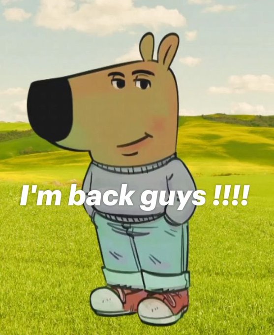 An anthropomorphic dog character stands in a green field with the text "I'm back guys !!!!" overlaid, and the image is posted as a "Good morning CT" greeting—suggesting the user is announcing their return to the community.