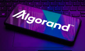 The image features a smartphone displaying the word "Algorithand" written in white letters, with a purple background. The phone is placed on top of a laptop keyboard, which has a black keypad. The text on the screen reads "107 $BTC burned. They know they can retrieve it from quantum computers Only Algorand is the solution." This message seems to be related to a recent event involving Bitcoin and blockchain technology.