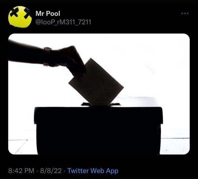 A silhouette of a hand placing a ballot into a ballot box, posted by Twitter user "Mr Pool" (@looP_rM311_7211) at 8:42 PM on 8/8/22.