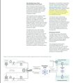 A partially visible academic document or paper with a highlighted section and a technical diagram at the bottom.