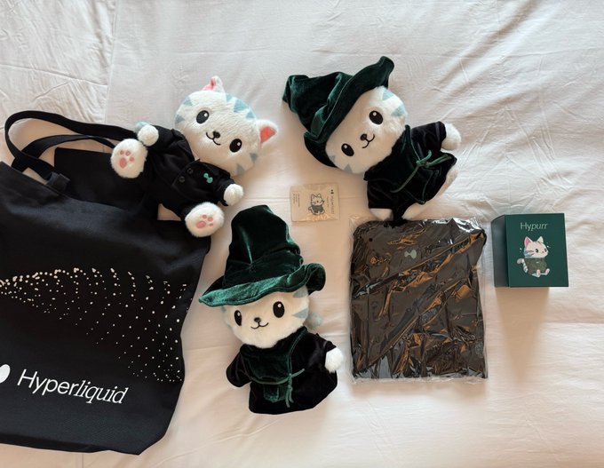 Three plush cat toys dressed in dark green velvet wizard robes, accompanied by a black tote bag with the 'Hyperliquid' logo and a small green box also labeled 'Hyperliquid'.