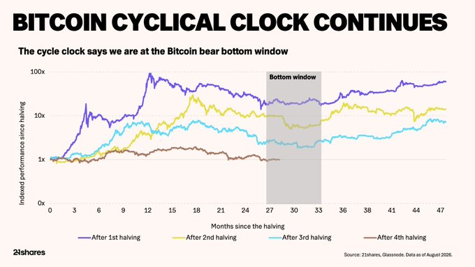 A chart titled 'BITCOIN CYCLICAL CLOCK CONTINUES' from 21shares showing indexed performance since halving across 4 cycles, noting 'we are at the Bitcoin bear bottom window' between months 27-33, with data as of August 2026.