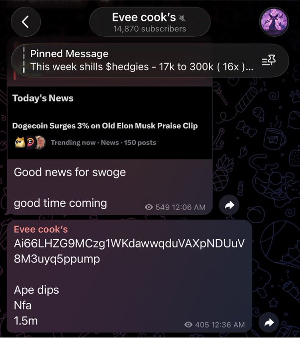 The image shows a Telegram channel called "Evee cook's" with 14,870 subscribers, featuring messages about cryptocurrency gains including "$hedgies - 17k to 300k (16x)" as a pinned message and "Catecoin" with what appears to be wallet addresses, "Ape dips," "Nfa," and "1.5m" noted. This relates to the post's brag about Catecoin going from 1.5m to 8m, as the screenshot captures the channel's boastful promotion of massive crypto returns alongside typical "not financial advice" disclaimers.