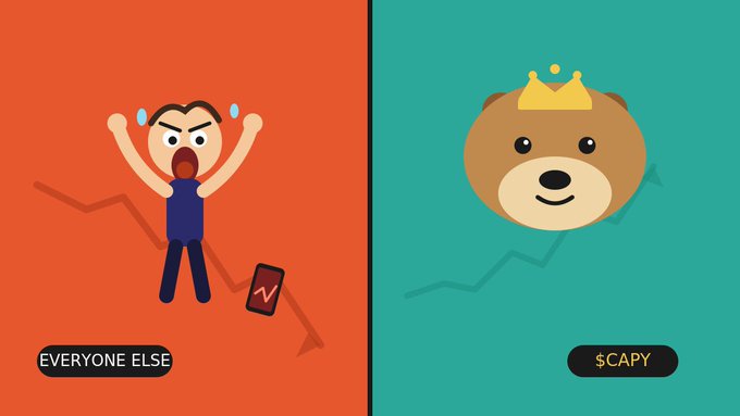A split cartoon illustration comparing 'EVERYONE ELSE' (an angry, sweating stick figure with a crashing phone chart on an orange background) versus '$CAPY' (a calm capybara wearing a crown with an upward trending chart on a teal background).