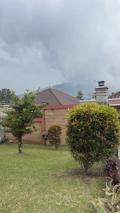 A grassy yard with a trimmed bush and pine tree, with a house and a cloudy, mist-covered mountain in the background.