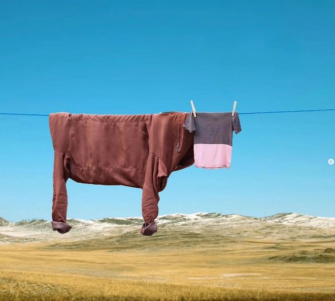 A brown long-sleeved shirt and a pink and gray garment hang on a clothesline, drying against a backdrop of golden grasslands and a clear blue sky.
